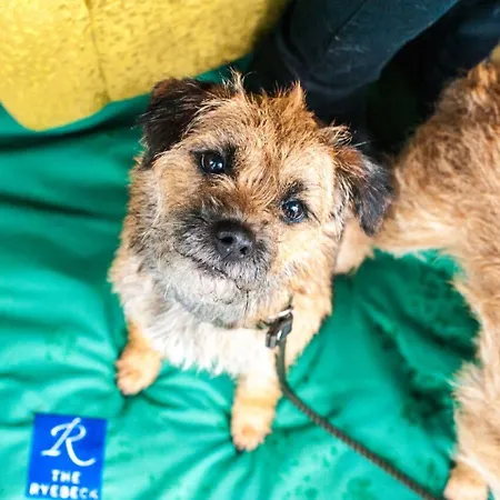 Bed & Breakfast The Ryebeck